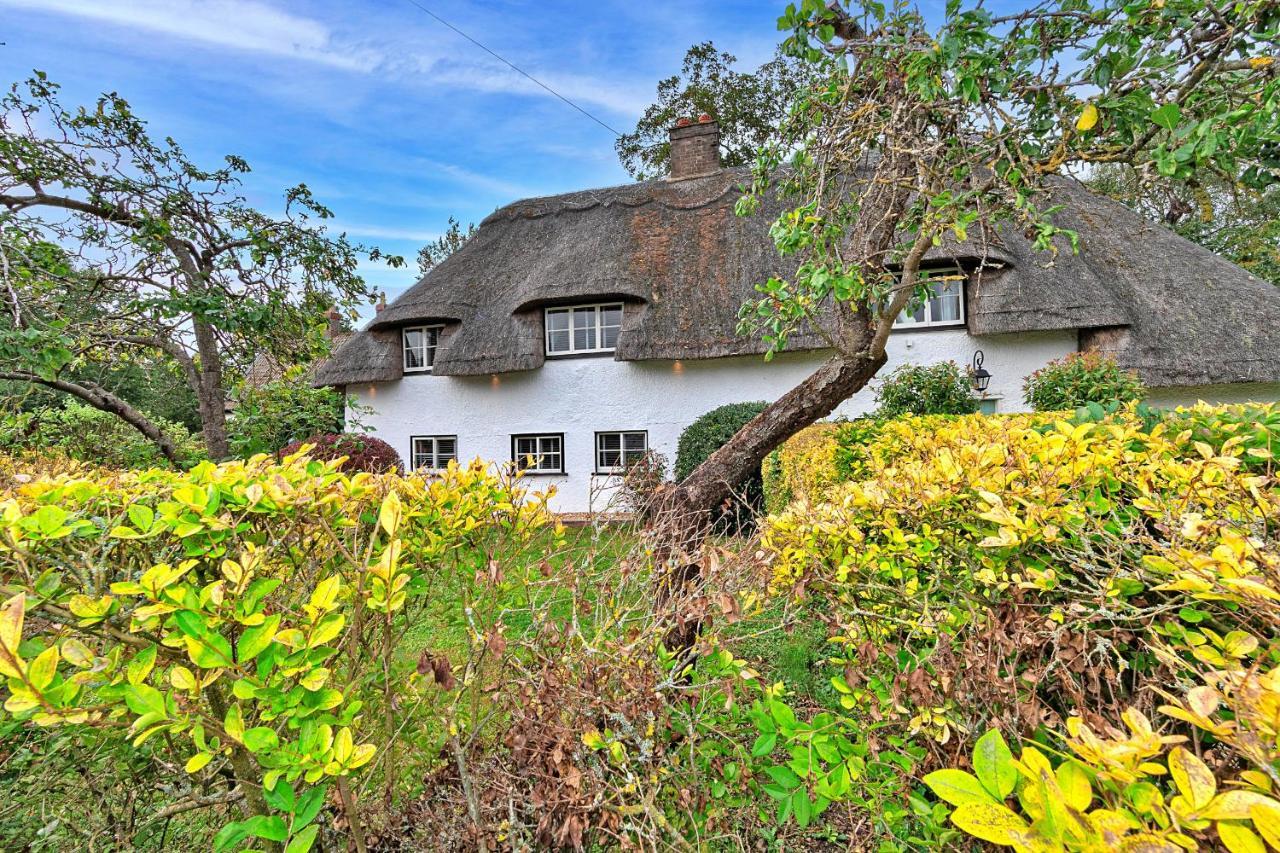 Finest Retreats - Chocolate Box Cottage Potton Ngoại thất bức ảnh